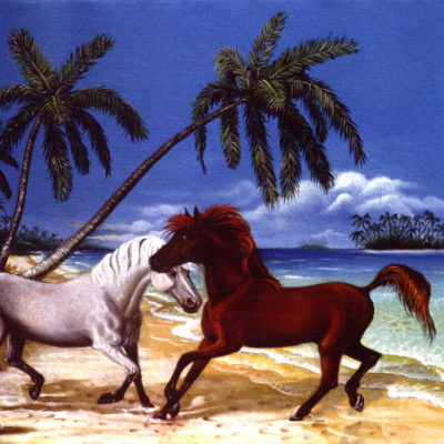 Ritratti di animali